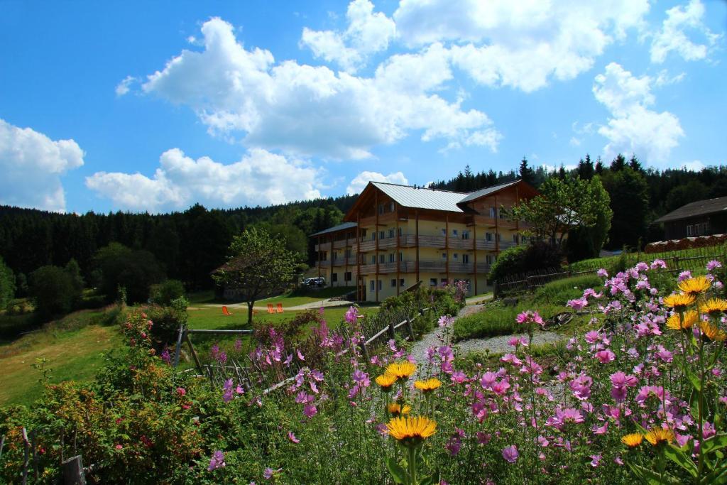 Berghotel Mooshuette Lohberg Eksteriør bilde
